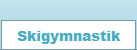 Skigymnastik